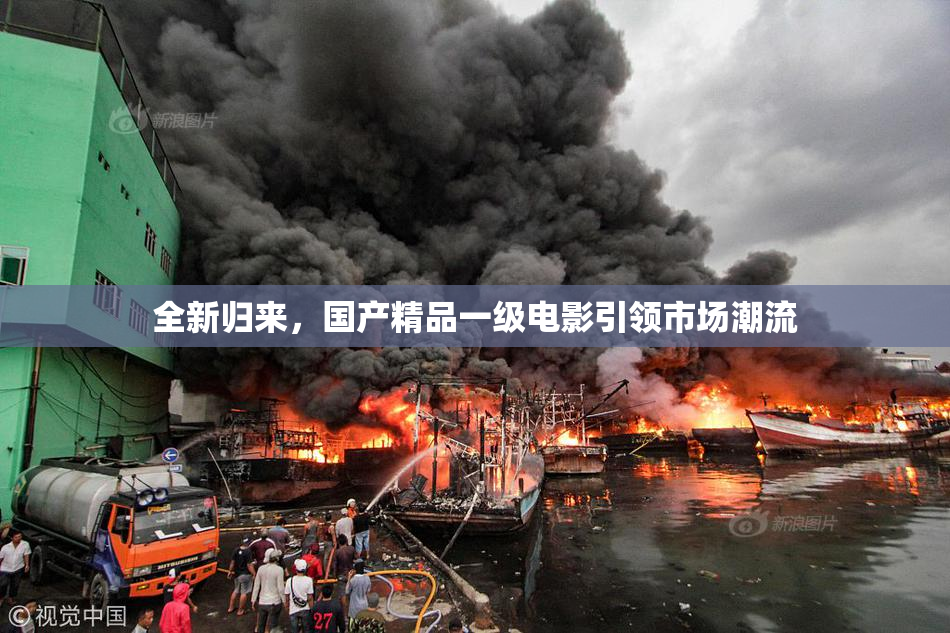全新归来，国产精品一级电影引领市场潮流