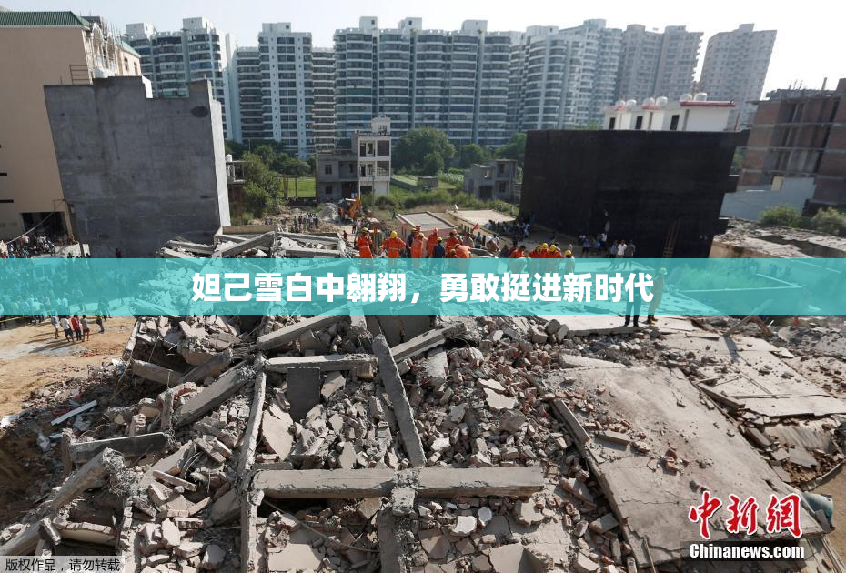 妲己雪白中翱翔，勇敢挺进新时代