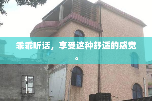 乖乖听话，享受这种舒适的感觉。