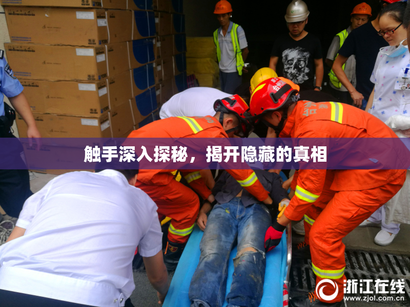 触手深入探秘，揭开隐藏的真相