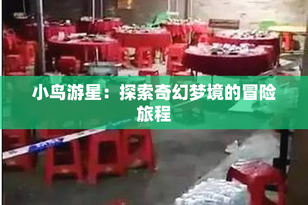 小鸟游星：探索奇幻梦境的冒险旅程
