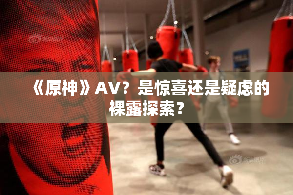 《原神》AV？是惊喜还是疑虑的裸露探索？