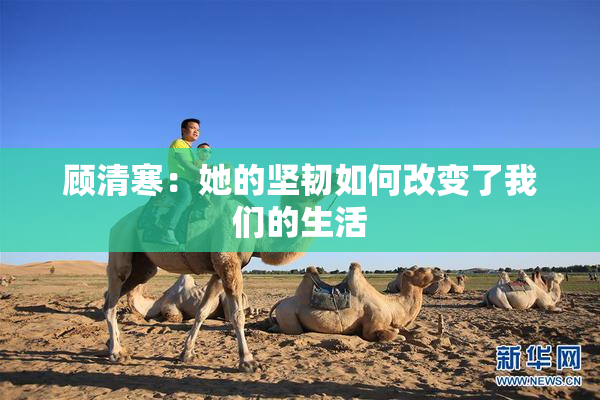 顾清寒：她的坚韧如何改变了我们的生活