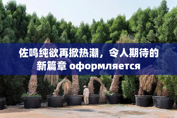 佐鸣纯欲再掀热潮，令人期待的新篇章 оформляется