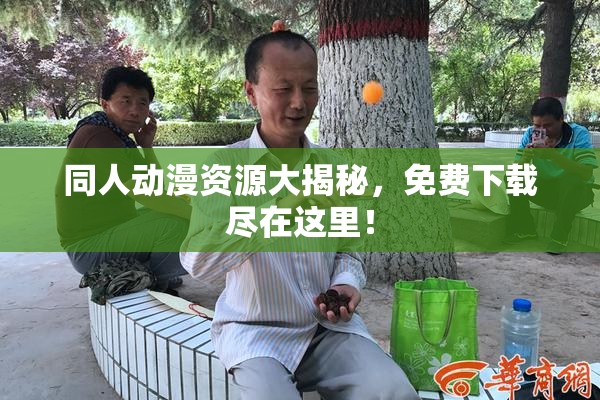 同人动漫资源大揭秘，免费下载尽在这里！