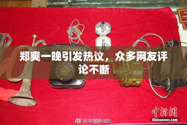 郑爽一晚引发热议，众多网友评论不断