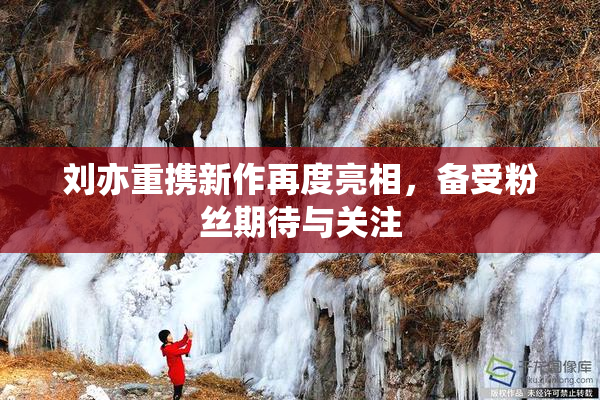 刘亦重携新作再度亮相，备受粉丝期待与关注