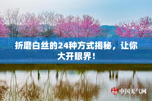 折磨白丝的24种方式揭秘，让你大开眼界！
