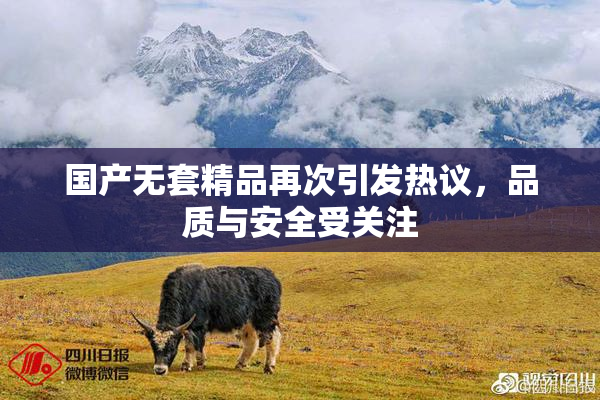 国产无套精品再次引发热议，品质与安全受关注