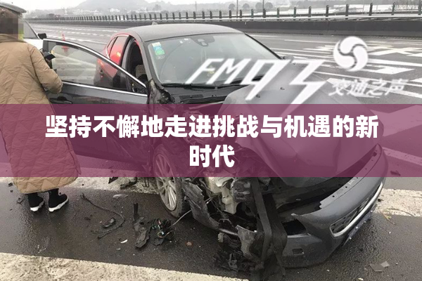 坚持不懈地走进挑战与机遇的新时代
