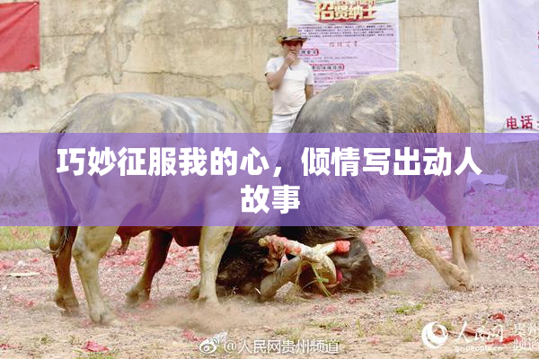 巧妙征服我的心，倾情写出动人故事