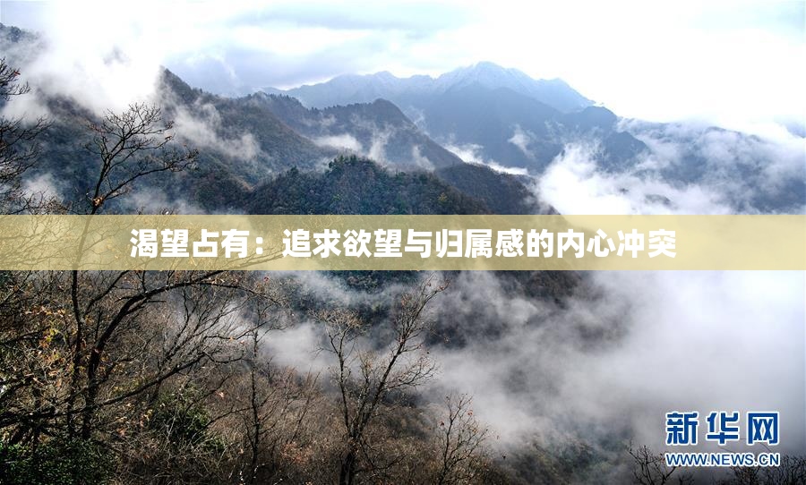 渴望占有：追求欲望与归属感的内心冲突