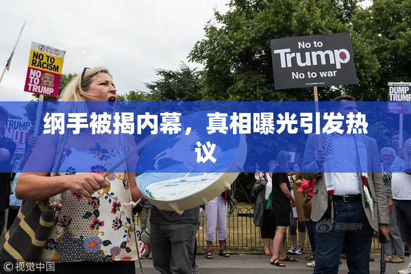 纲手被揭内幕，真相曝光引发热议
