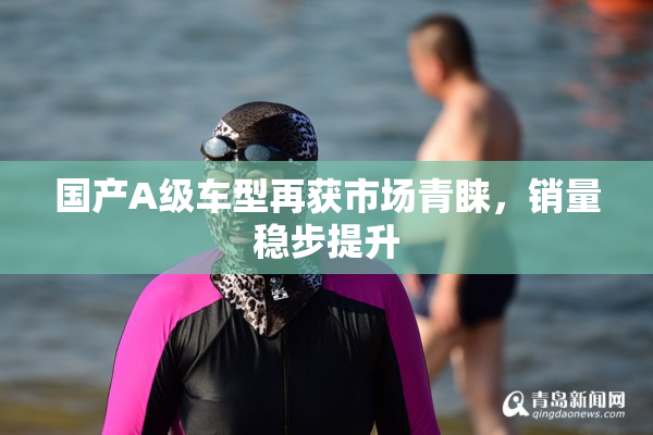 国产A级车型再获市场青睐，销量稳步提升