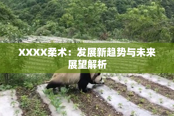 XXXX柔术：发展新趋势与未来展望解析