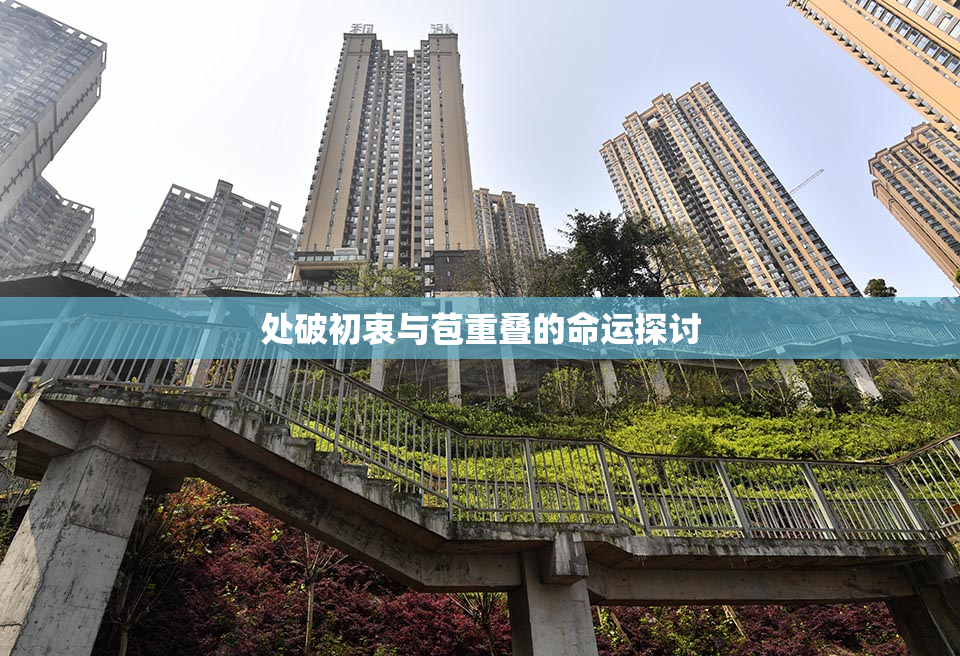 处破初衷与苞重叠的命运探讨