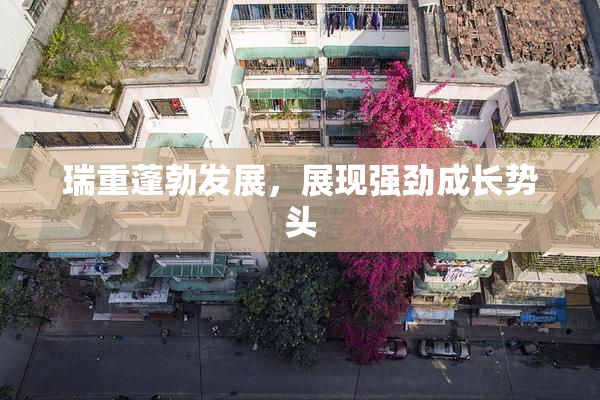 瑞重蓬勃发展，展现强劲成长势头