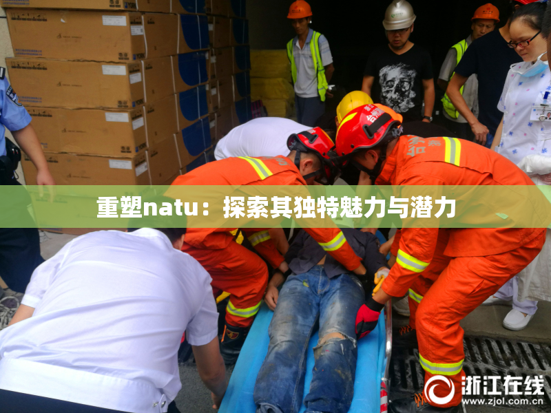 重塑natu：探索其独特魅力与潜力