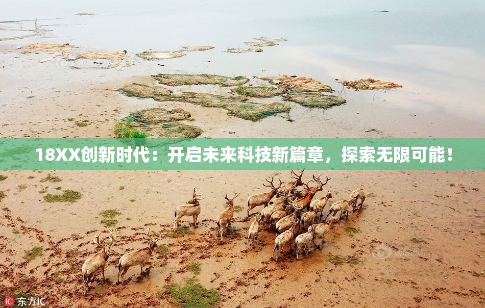 18XX创新时代：开启未来科技新篇章，探索无限可能！