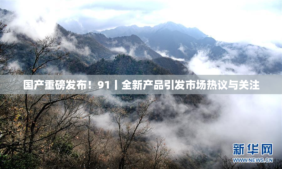 国产重磅发布！91丨全新产品引发市场热议与关注