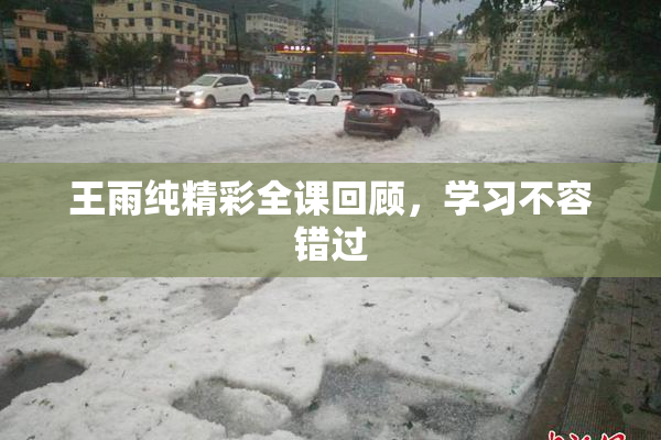 王雨纯精彩全课回顾，学习不容错过
