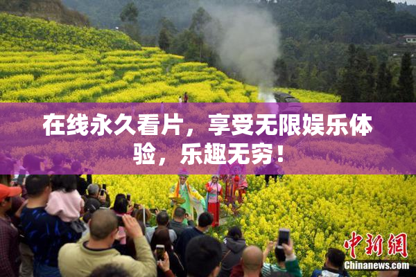 在线永久看片，享受无限娱乐体验，乐趣无穷！