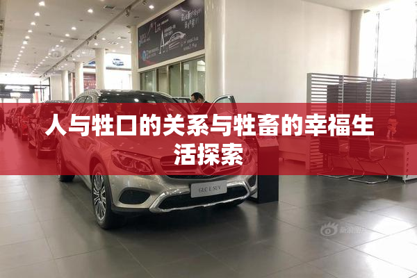 人与牲口的关系与牲畜的幸福生活探索