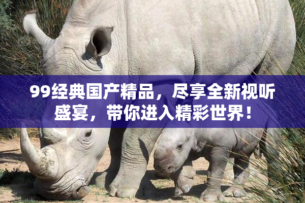 99经典国产精品，尽享全新视听盛宴，带你进入精彩世界！