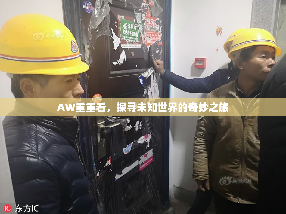 AW重重看，探寻未知世界的奇妙之旅