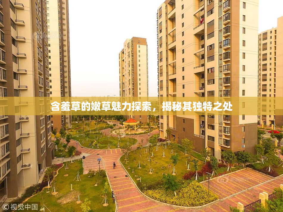 含羞草的嫩草魅力探索，揭秘其独特之处