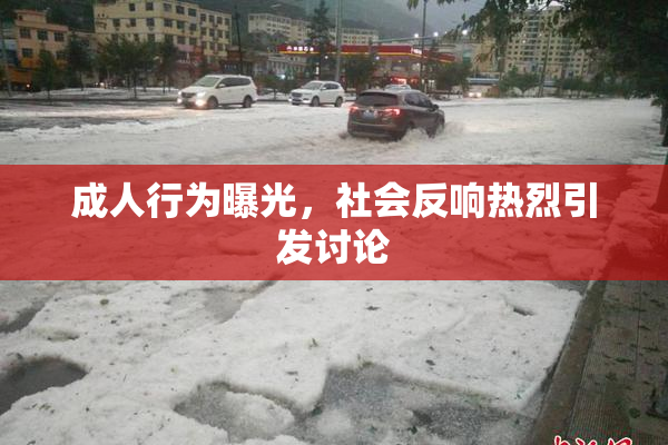 成人行为曝光，社会反响热烈引发讨论