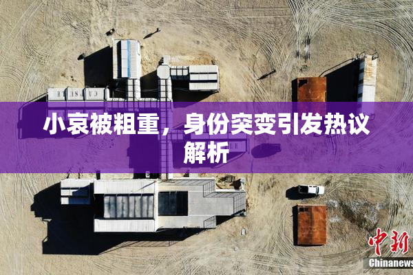 小哀被粗重，身份突变引发热议解析