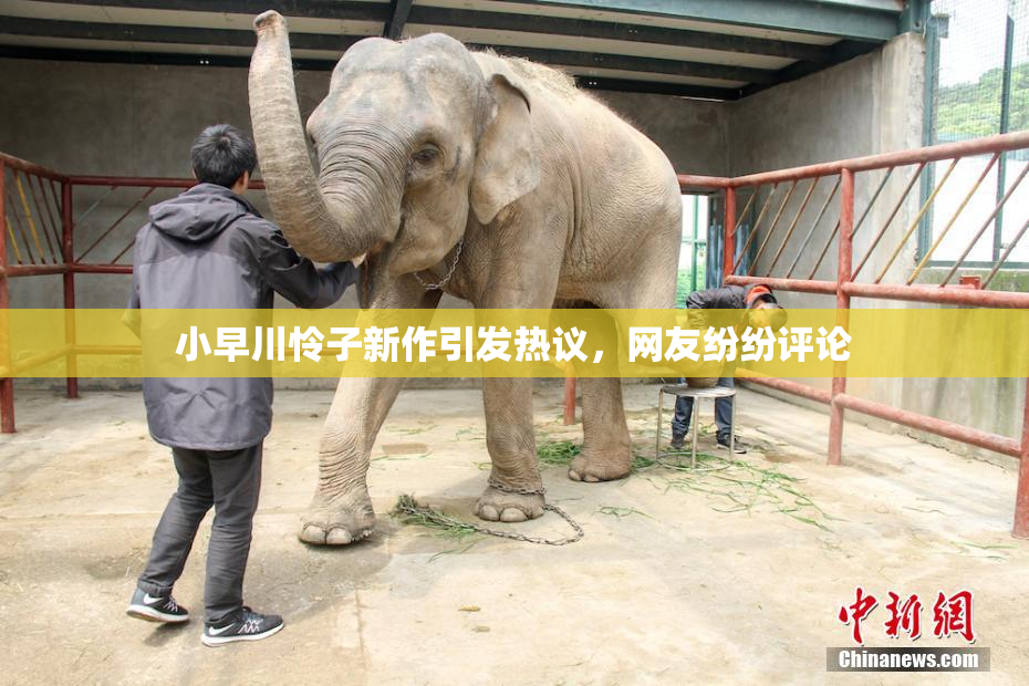 小早川怜子新作引发热议，网友纷纷评论
