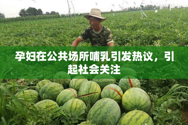 孕妇在公共场所哺乳引发热议，引起社会关注