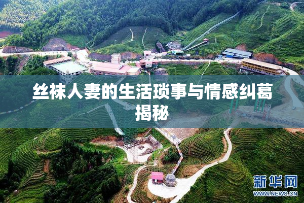 丝袜人妻的生活琐事与情感纠葛揭秘