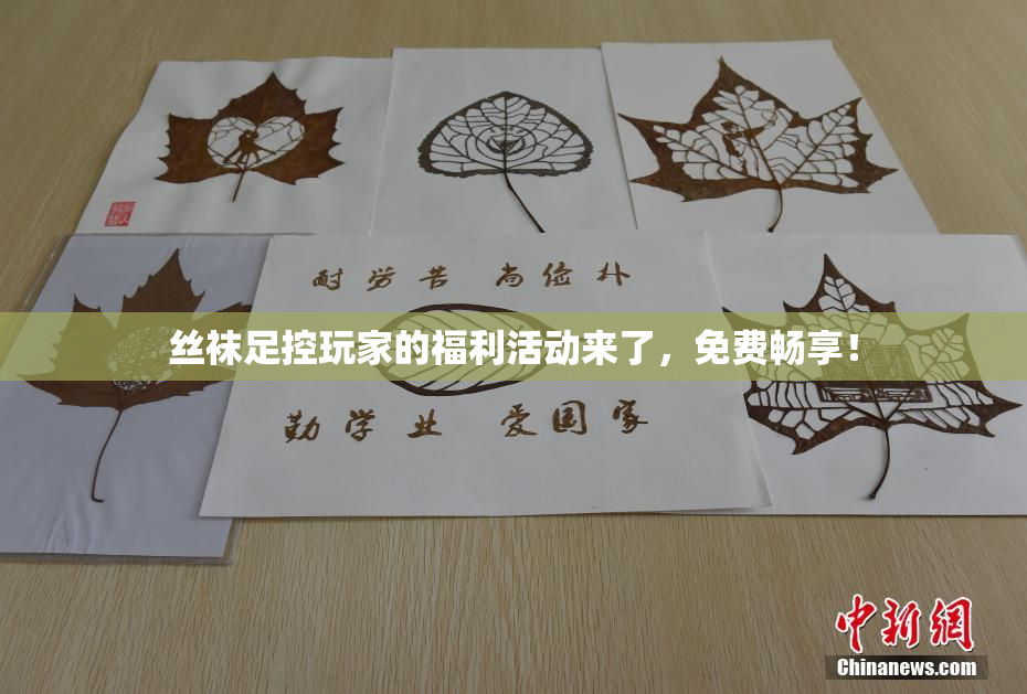 丝袜足控玩家的福利活动来了，免费畅享！