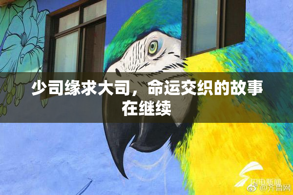 少司缘求大司，命运交织的故事在继续