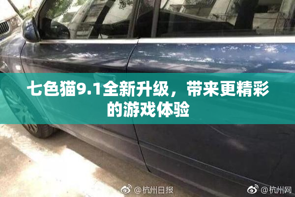 七色猫9.1全新升级，带来更精彩的游戏体验