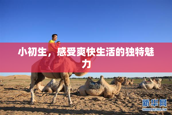 小初生，感受爽快生活的独特魅力