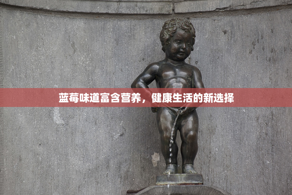 蓝莓味道富含营养，健康生活的新选择