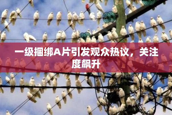 一级捆绑A片引发观众热议，关注度飙升