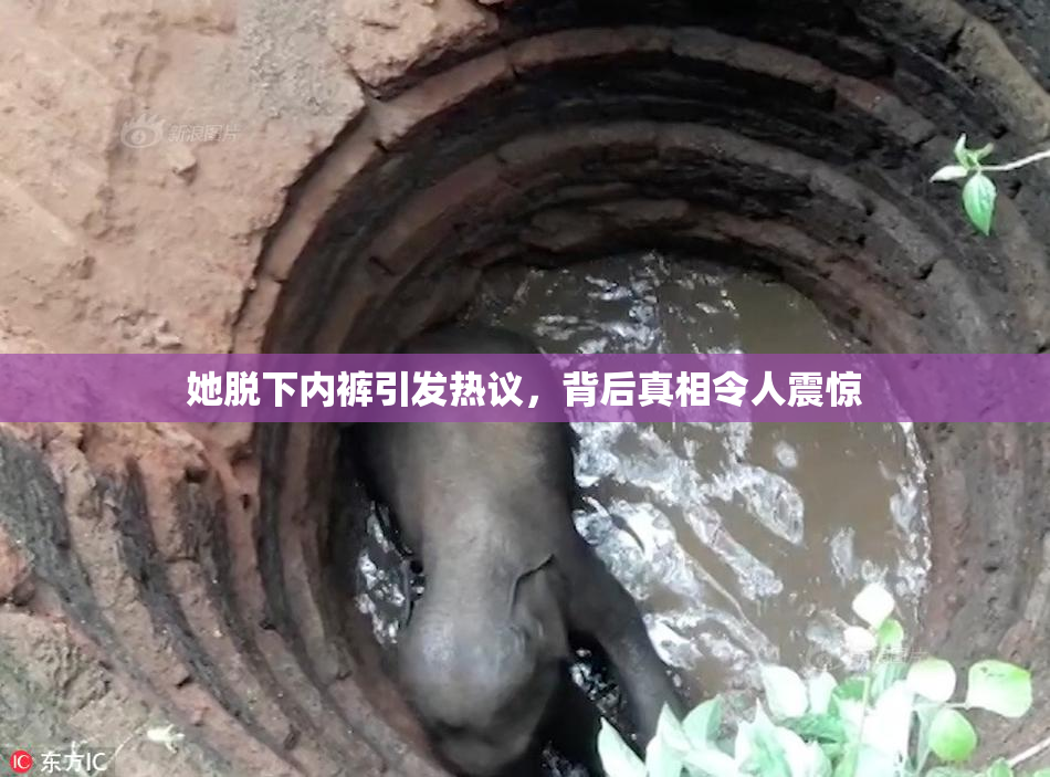 她脱下内裤引发热议，背后真相令人震惊