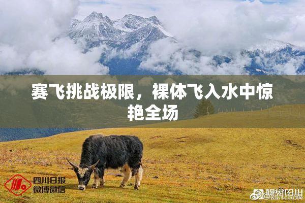 赛飞挑战极限，裸体飞入水中惊艳全场