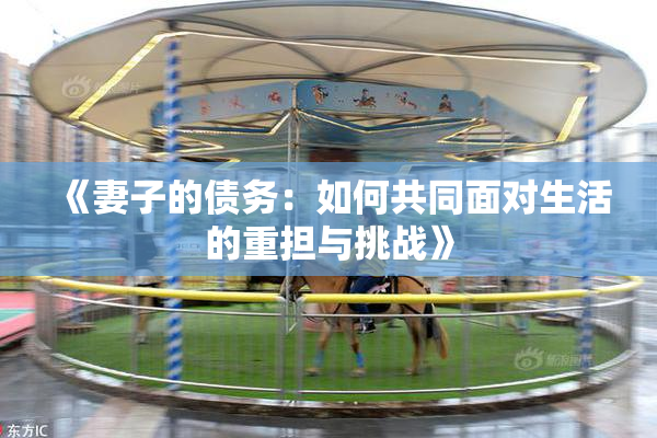 《妻子的债务：如何共同面对生活的重担与挑战》