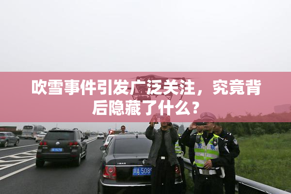 吹雪事件引发广泛关注，究竟背后隐藏了什么？