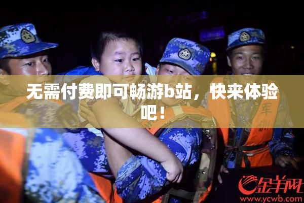 无需付费即可畅游b站，快来体验吧！