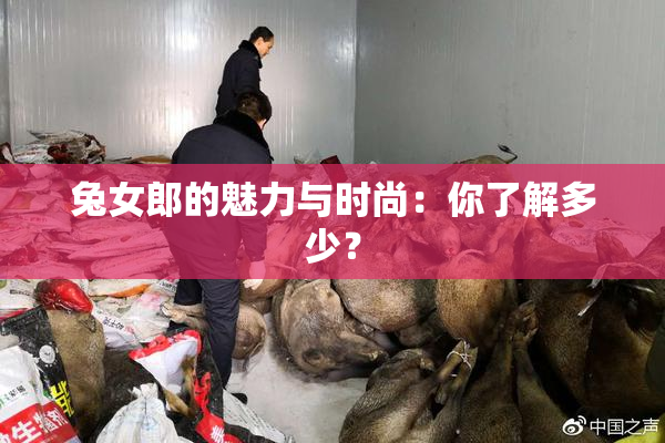兔女郎的魅力与时尚：你了解多少？