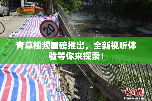青草视频重磅推出，全新视听体验等你来探索！