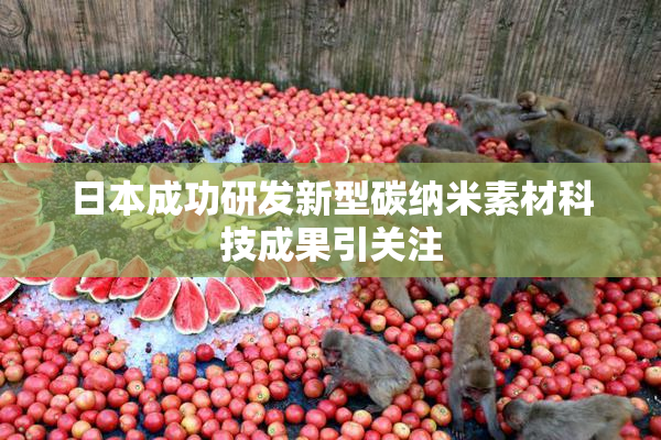 日本成功研发新型碳纳米素材科技成果引关注