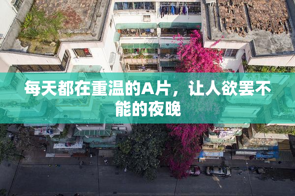每天都在重温的A片，让人欲罢不能的夜晚